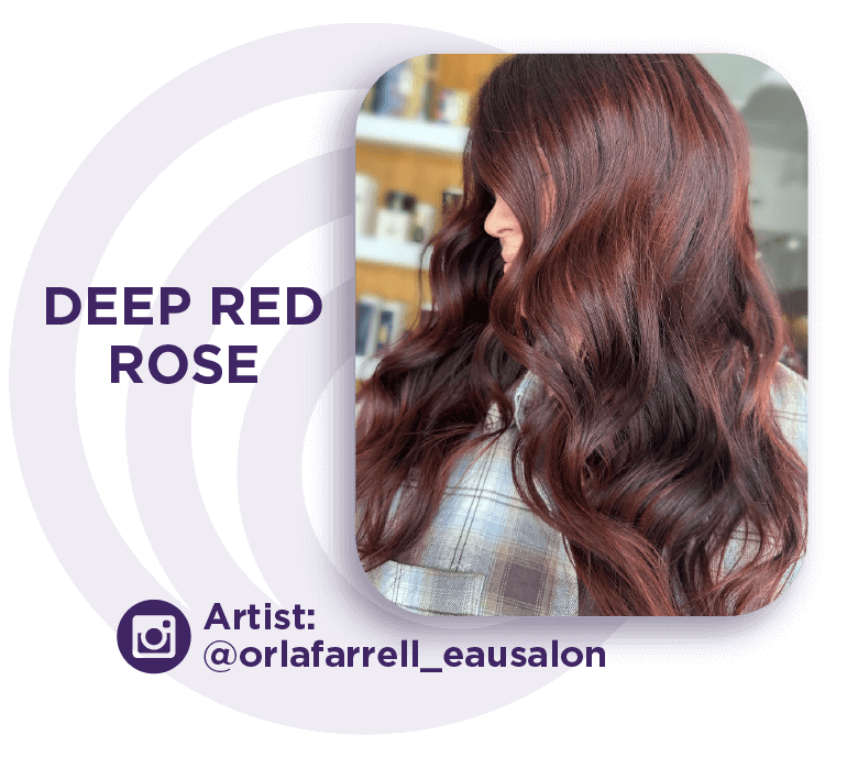 Deep Red Rose Hair Color